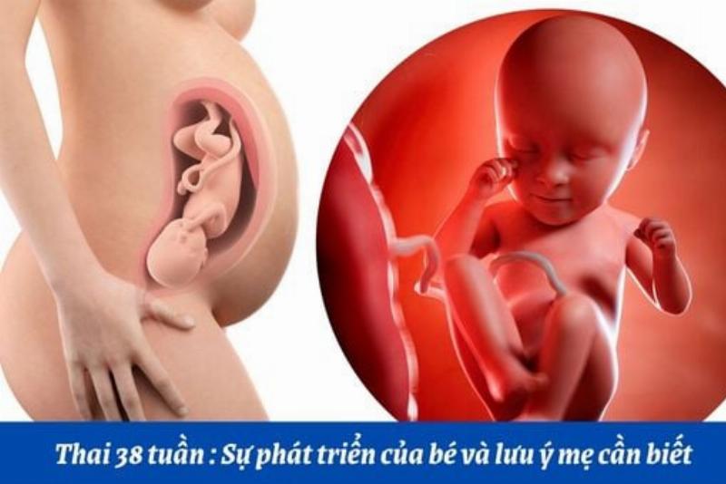 Hình ảnh mẹ bầu và chồng đang chuẩn bị đồ dùng cho em bé, thể hiện sự mong chờ và chuẩn bị chu đáo